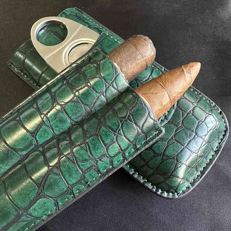 Cigar Tube 2 Slots Case with C - Travel Accessories Youtube avaliação e preço