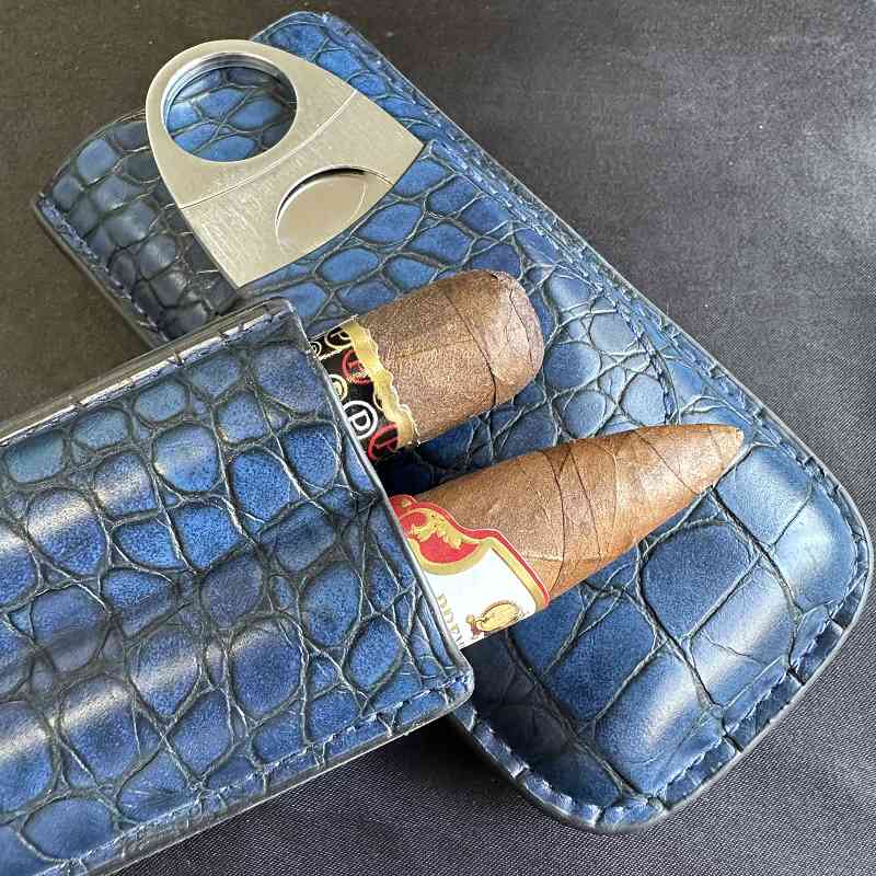 Cigar Tube 2 Slots Case with C - Travel Accessories Youtube avaliação e preço