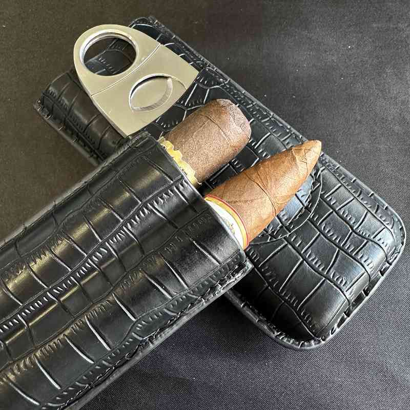 Cigar Tube 2 Slots Case with C - Travel Accessories Youtube avaliação e preço