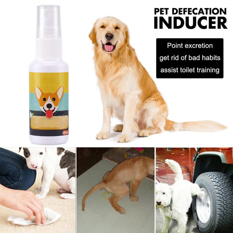 1PCS Dog Potty Train Spray Por - Travel Accessories For Train avaliação e preço