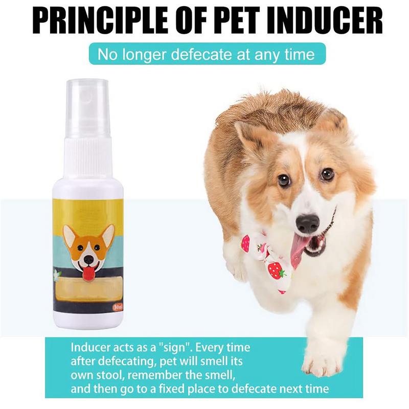 1PCS Dog Potty Train Spray Por - Travel Accessories For Train avaliação e preço